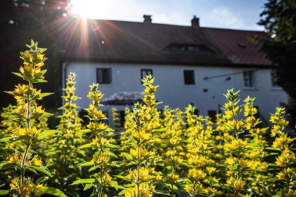 Enjoy Cozy Home Hills & Forest & Views & Gardens & Sauna Whirlpool Bath Jablonné v Podještědí Exterior foto